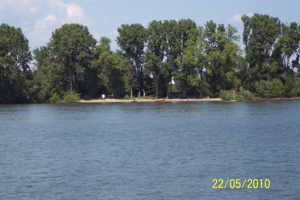 Strandbad Ginsheim von der Laubenheimer Seite aus by klaus pfaff