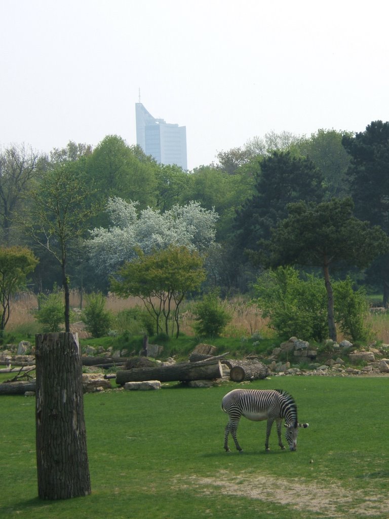 Afrikasavanne (Zoo Leipzig) by Christian Brust