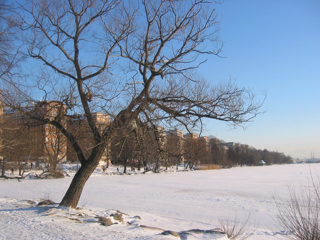 Nörr Mälarstrand seen from Smedsuddvägen by max2win