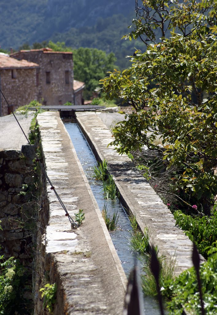 Ampus - alte Wasserleitung by BetinaS