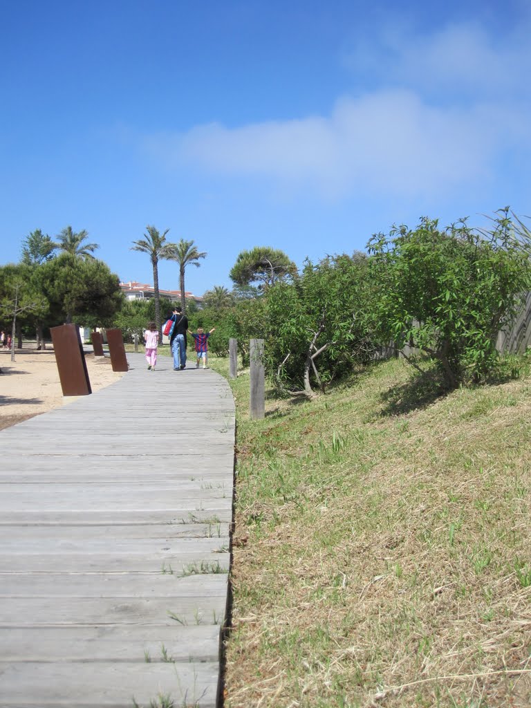 Dunes de Sant Pol by pdelaf