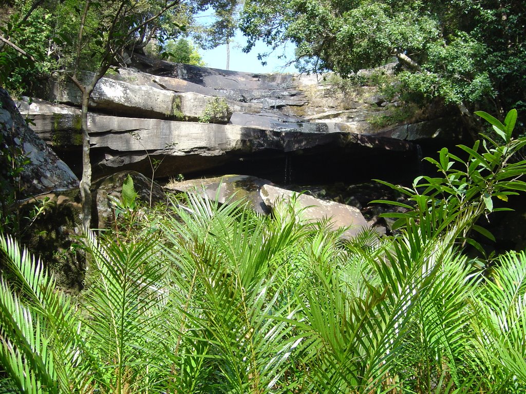 Inside Phu Kradungs jungle by goblin1980