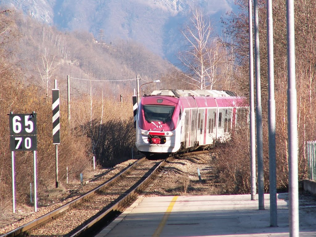 Treno in arrivo alla stazione di Calceranica by Mickyman