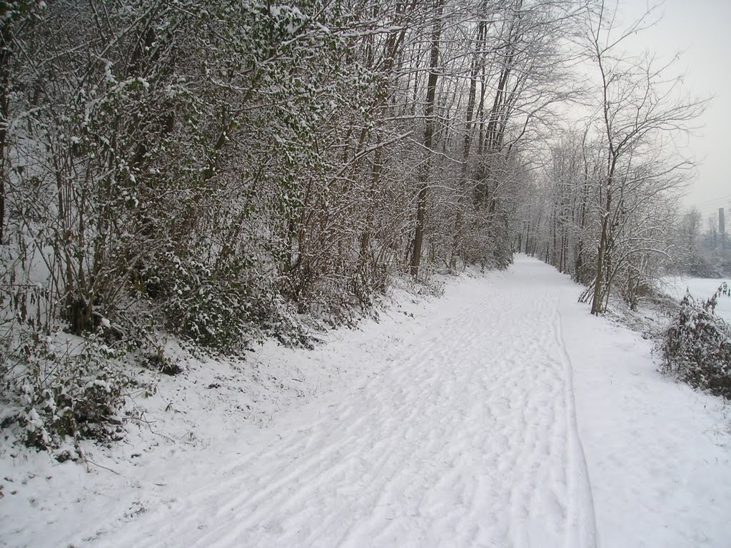 Valle Olona innevata by Michele Colombo