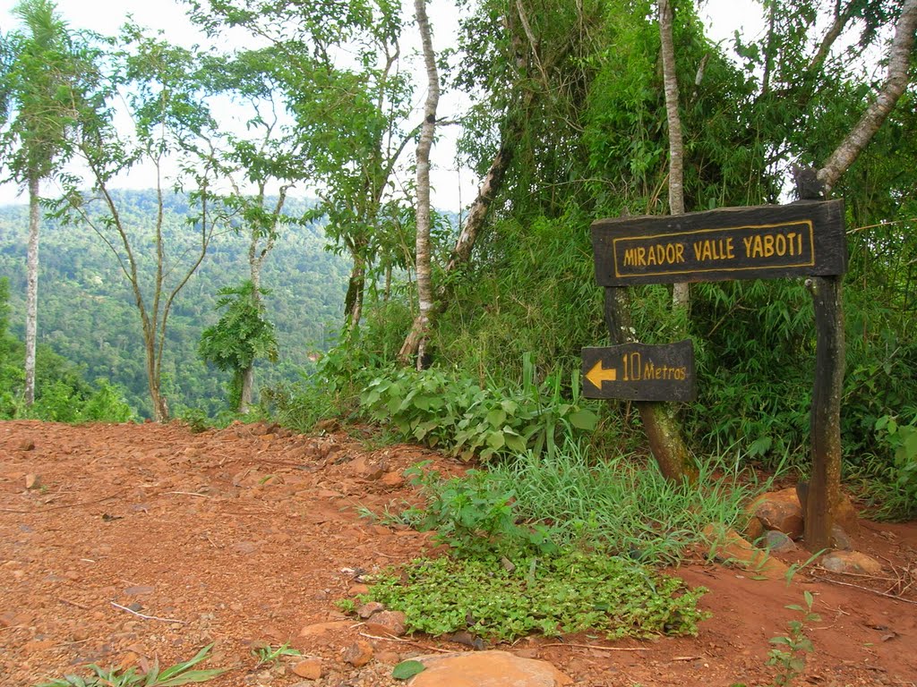 Verde Paisaje. (Reserva Yaboty, Misiones) by Fernando Mantese