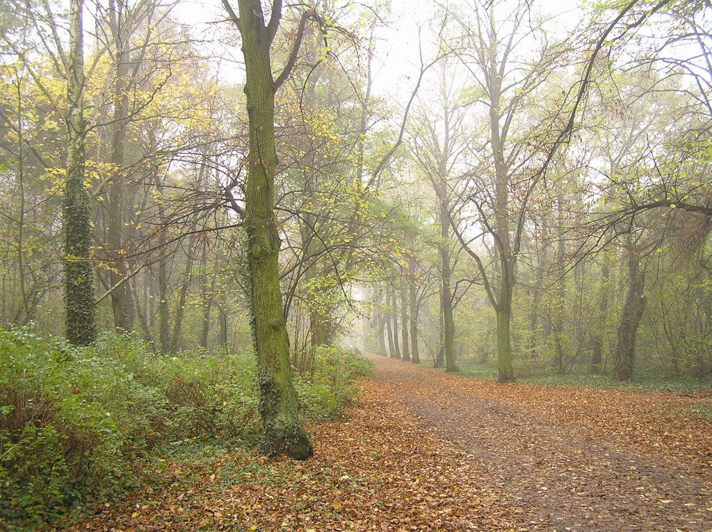 Park Grabiszyński by im.stasiak