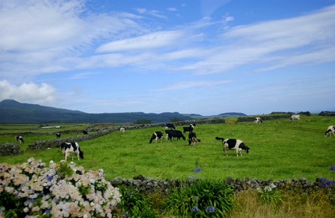 Azores 01 by Christian Binemann