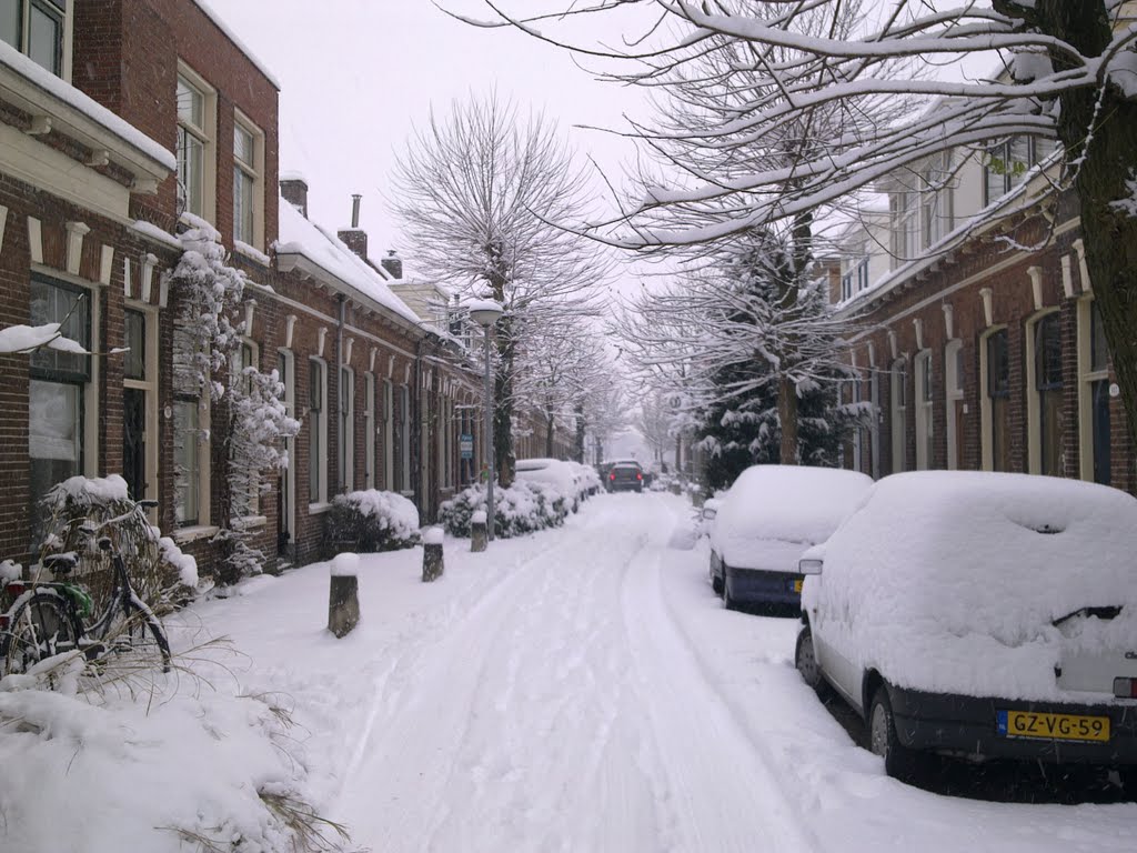 Nieuwe blekerstraat by ebbott