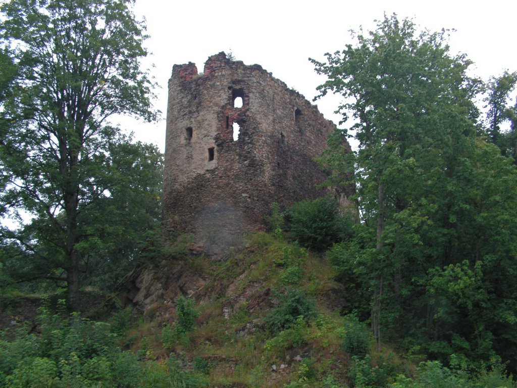 Ruiny Zamku Świecie - widok z szosy by ZbyszekKO