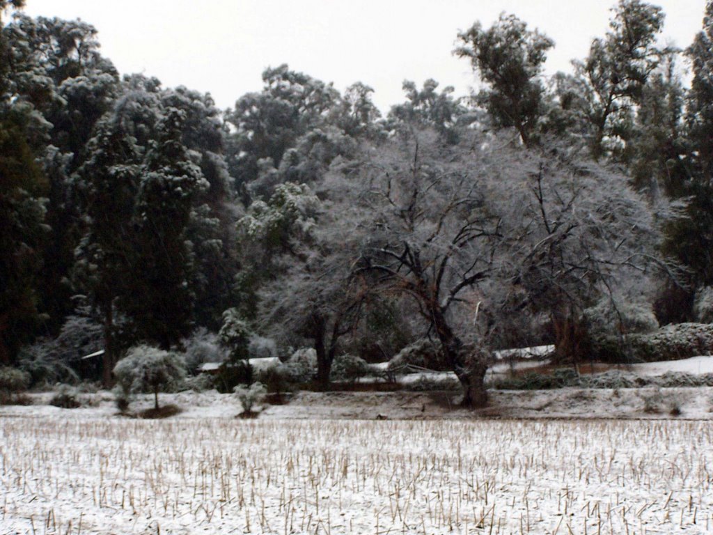 Carretera El Cobre nevada 4 by Rodrigo Pélissier. Fotógrafo