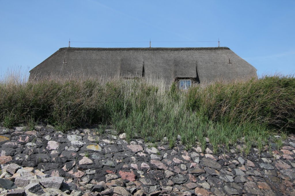 Hallig Langeneß by Helfmann