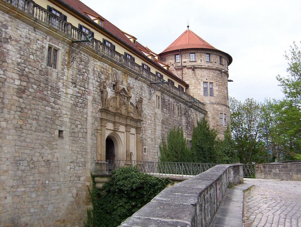 Schloss Hohentübingen by A.Flad