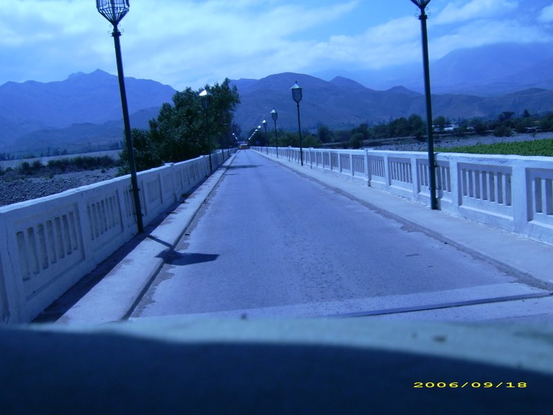 PUENTE DE VICUÑA by jorgeenrique