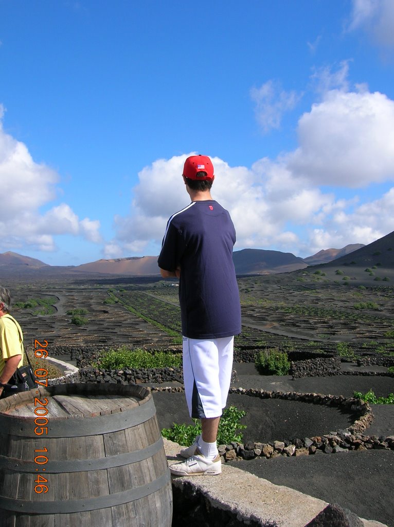 Grapevines in La Geria (Lanzarote island) by jgatti