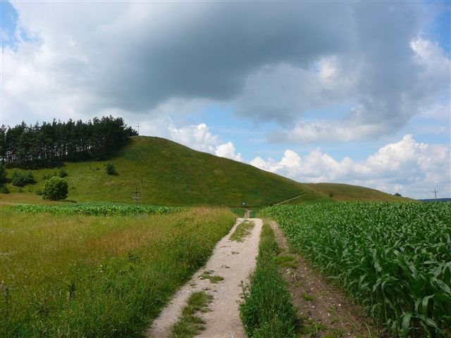 Cisowa Góra- 256 m n.p.m., najwyższe wzniesienie Suwalskiego Parku Krajobrazowego/ Cisowa Mt. the highest point of Suwalski Landscape Park by Karolina P.