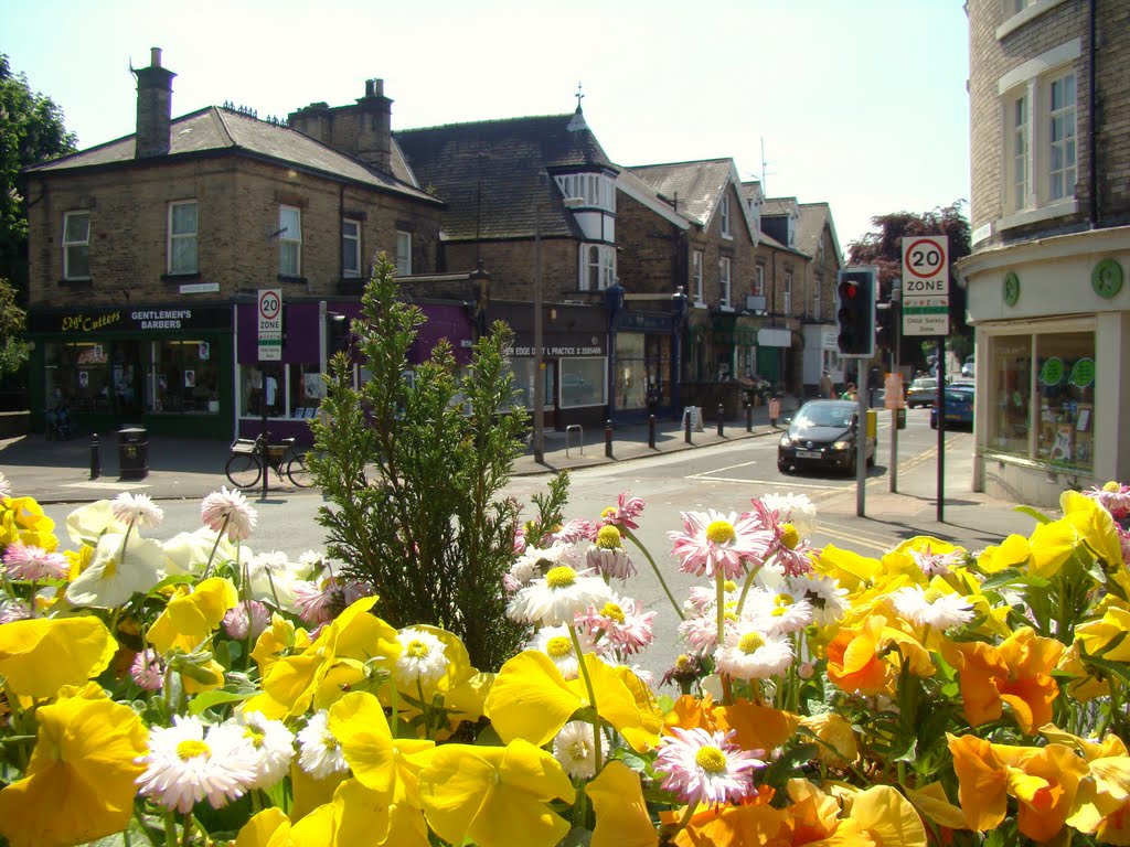 Looking over flower display towards Nether Edge Road, Nether Edge, Sheffield S7 by sixxsix