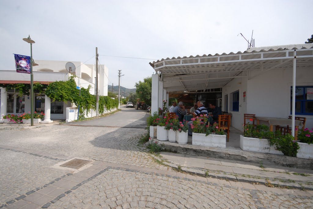 Çokertme, Cad, Yalıkavak, Bodrum, Mugla, Türkiye by Hüseyin Kafadengi