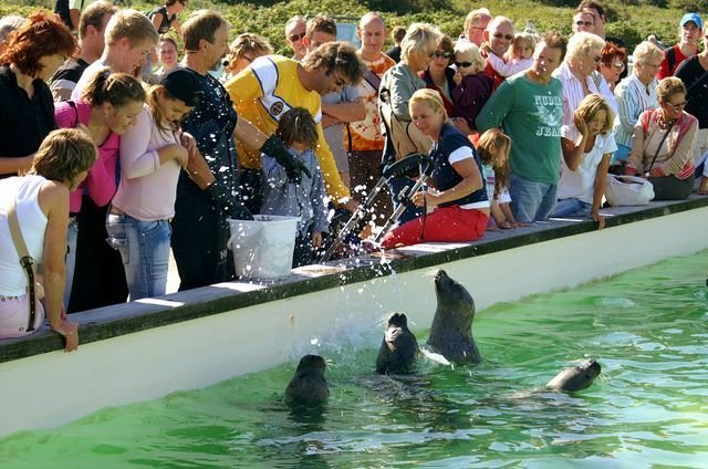 Zeehondencreche Ecomare by Peter van de Haar