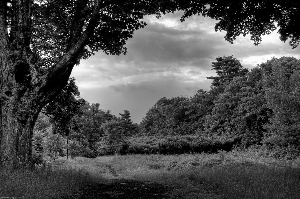 HDR parc du mont-st-bruno by Bernard Rodrigue