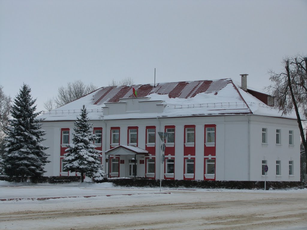 Ljozna city administration building by sergej-ka