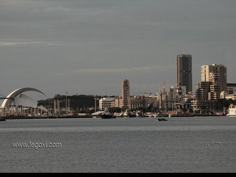 Santa Cruz de tenerife by Fernando Gomez Viñar…