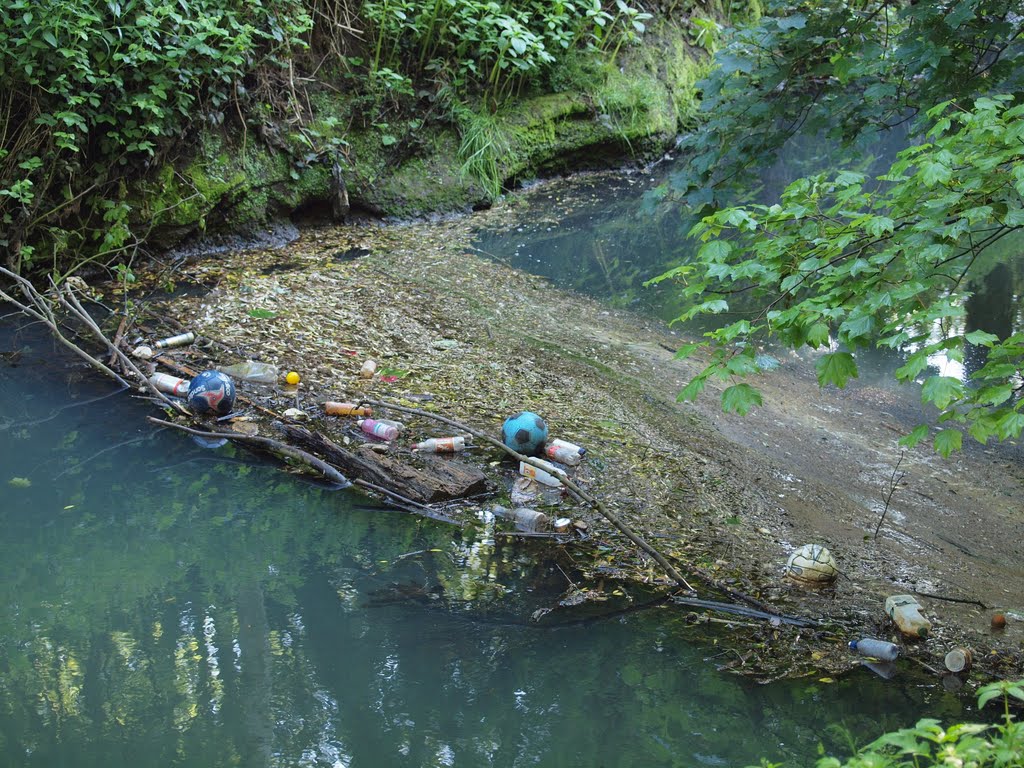 Rubbish on River Stour by Tim Gardner