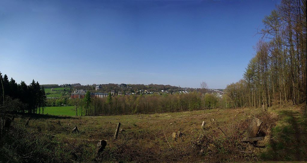 Wald Panorama by Alfred Wuttke