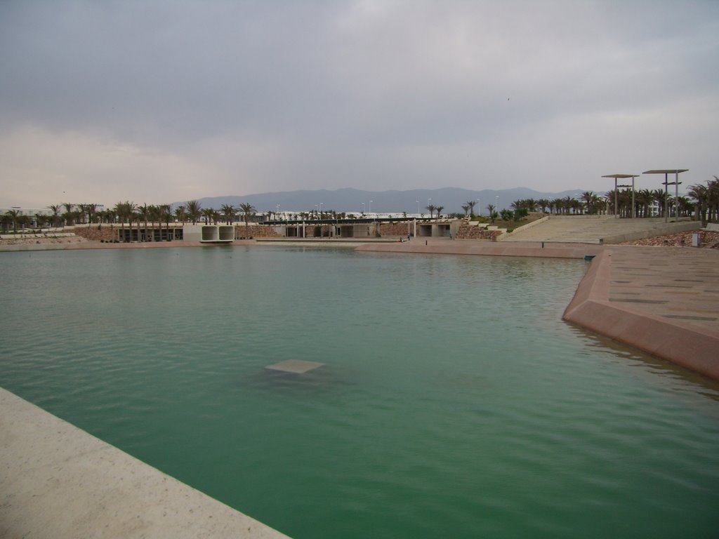 Lago Artificial del Toyo by gionattan