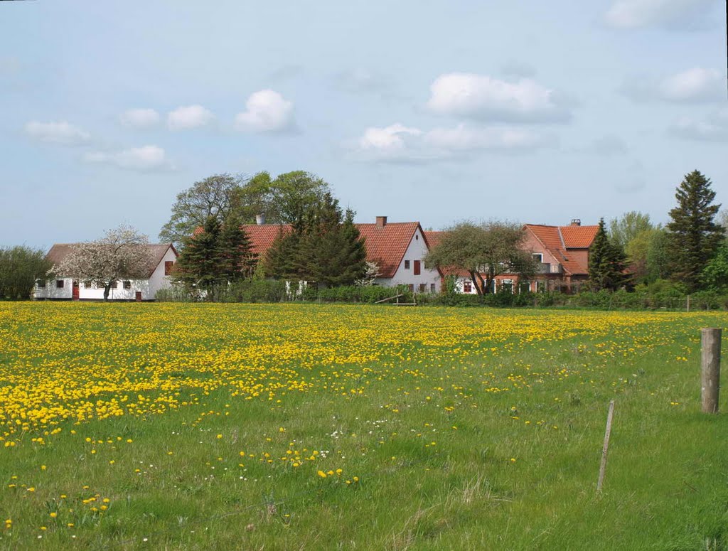 Rejnsbierggård by Olav Sejeroe