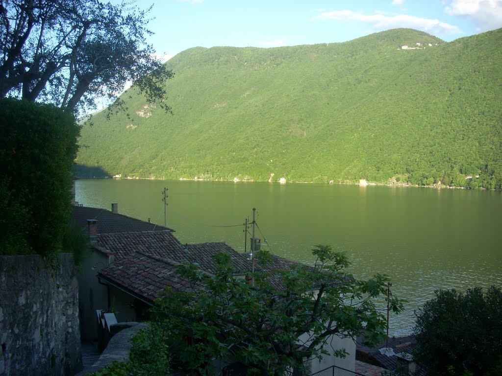 Panoramica de Lugano by jjpgracia