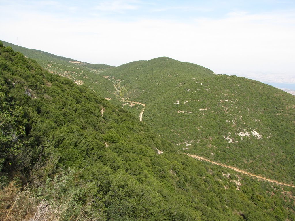 207 Upward from Ein al-Asad to Bayt Jan , ISRAEL by Kobi Zilberstein