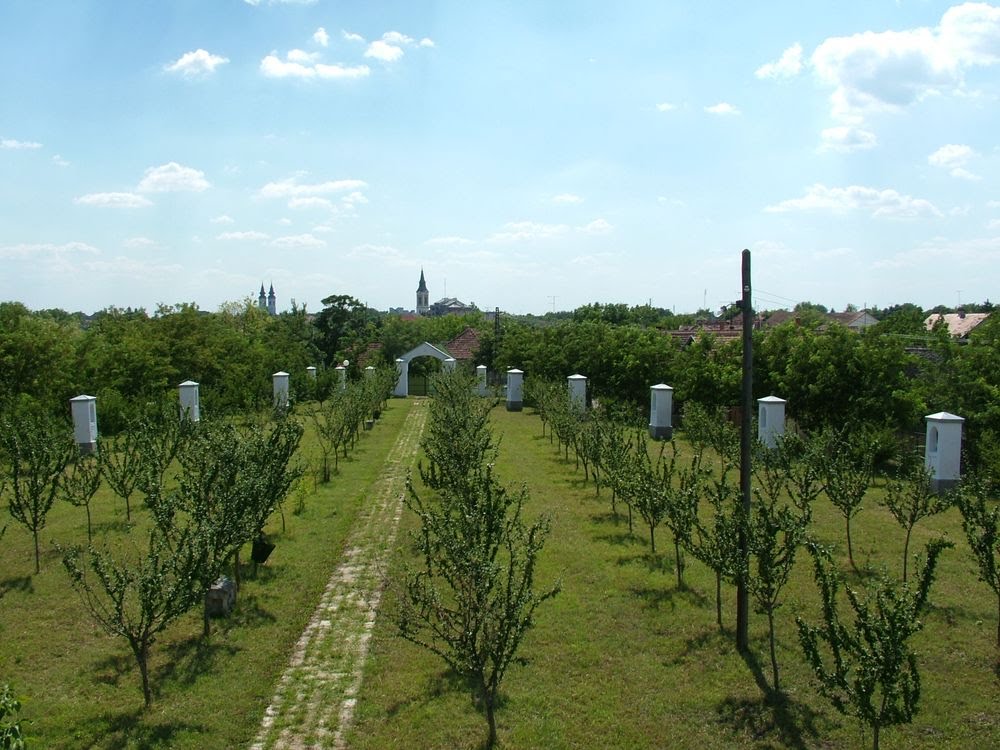 Szenttamás, kálvária by Kósa Károly