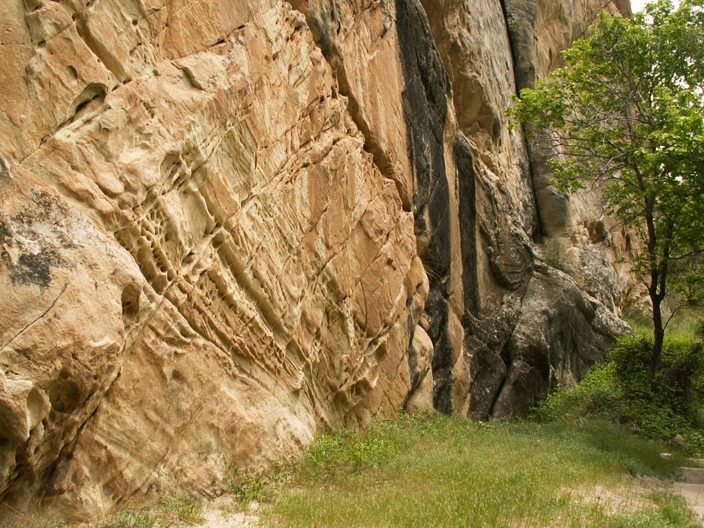 Box Canyon by Dana Jensen