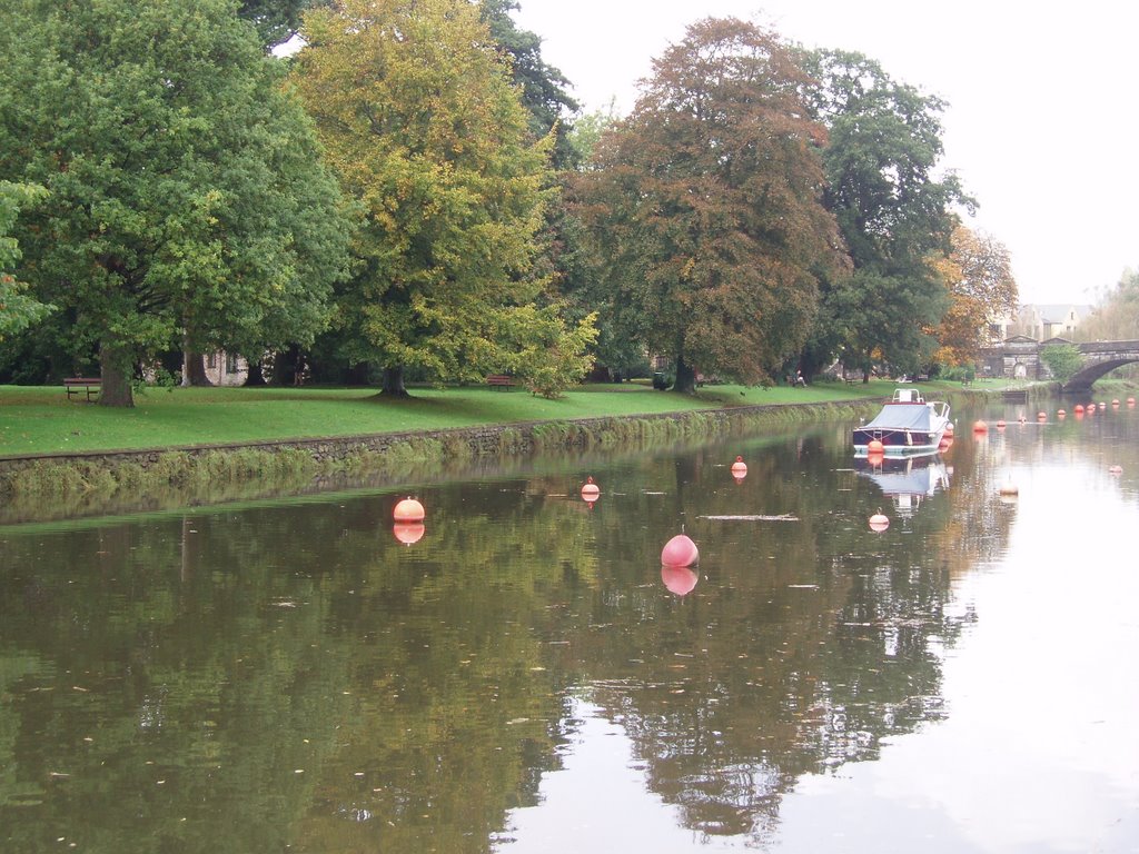 Mw49 River Dart, Totnes by malc wainwright