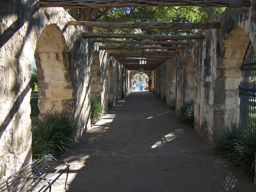 Looking South in the South Walkway by Saving Your Memories