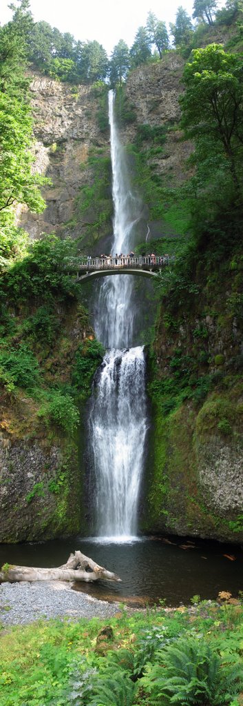 Multnomah Falls by Daniel Kaynor