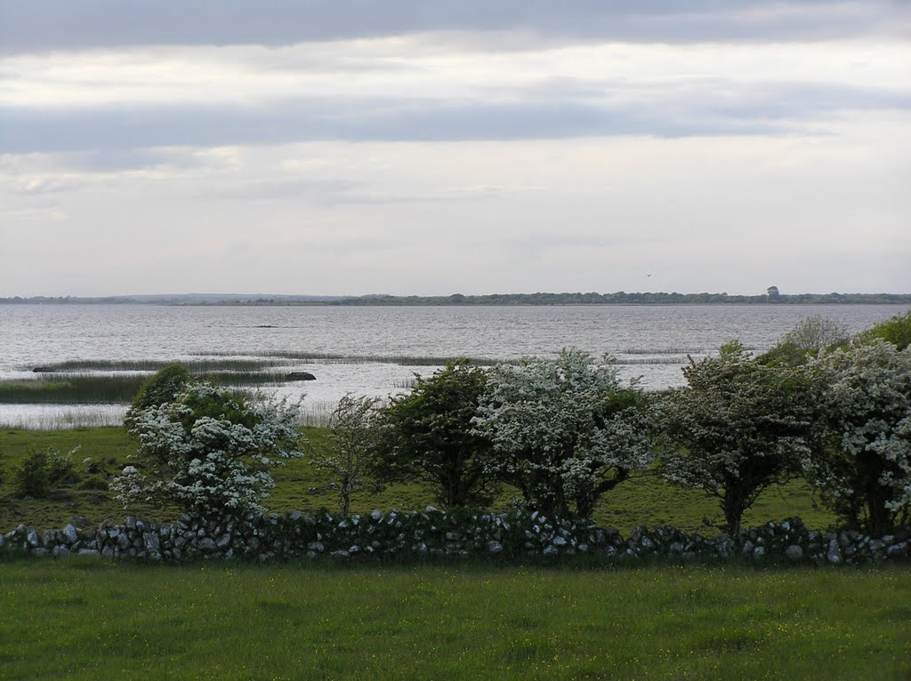 View over Lough Corrib by Willem Nabuurs