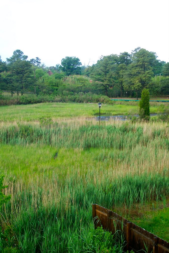 Wetlands View Looking South from Riverview Toward Zoo by DoctorBob