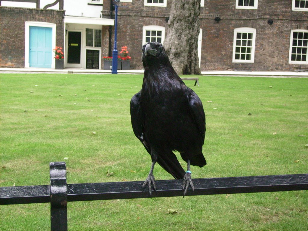 Raven of Tower by Vasily  Vlasov