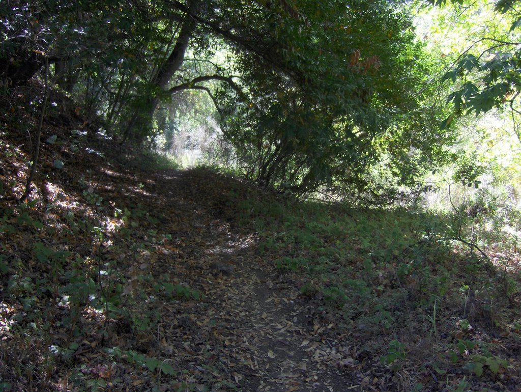 Almaden Quick Silver Park, Great Eastern Trail by grey3000