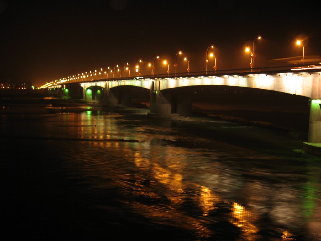 长虹大桥-changhong bridge by Ted_Ann