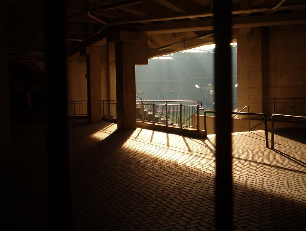 Interior of Westfalenstadium by Spiritualized Kaos