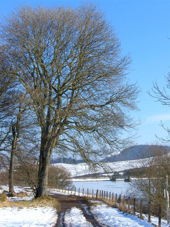 Harlaw Reservoir, Pentlands by JimC