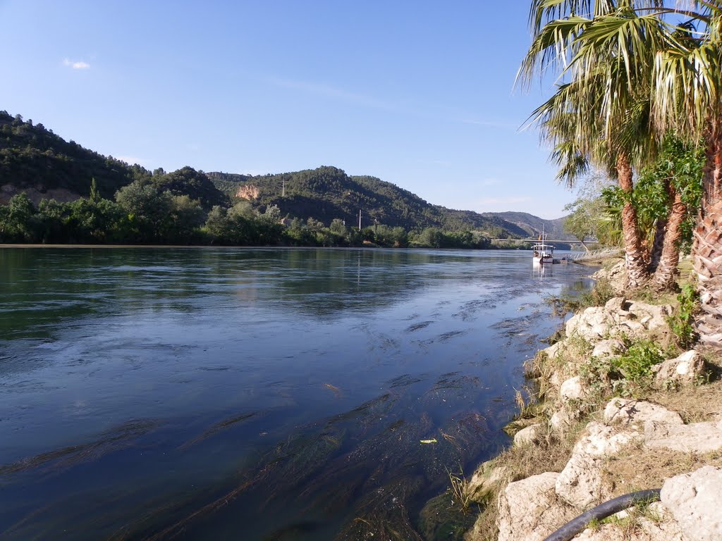 El ebre en Benifallet by sergi1907