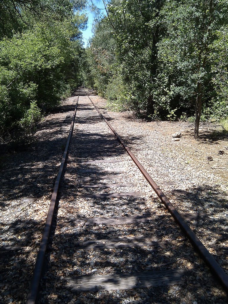 Abandoned Railroad makes a nice walking path by Eric Phelps