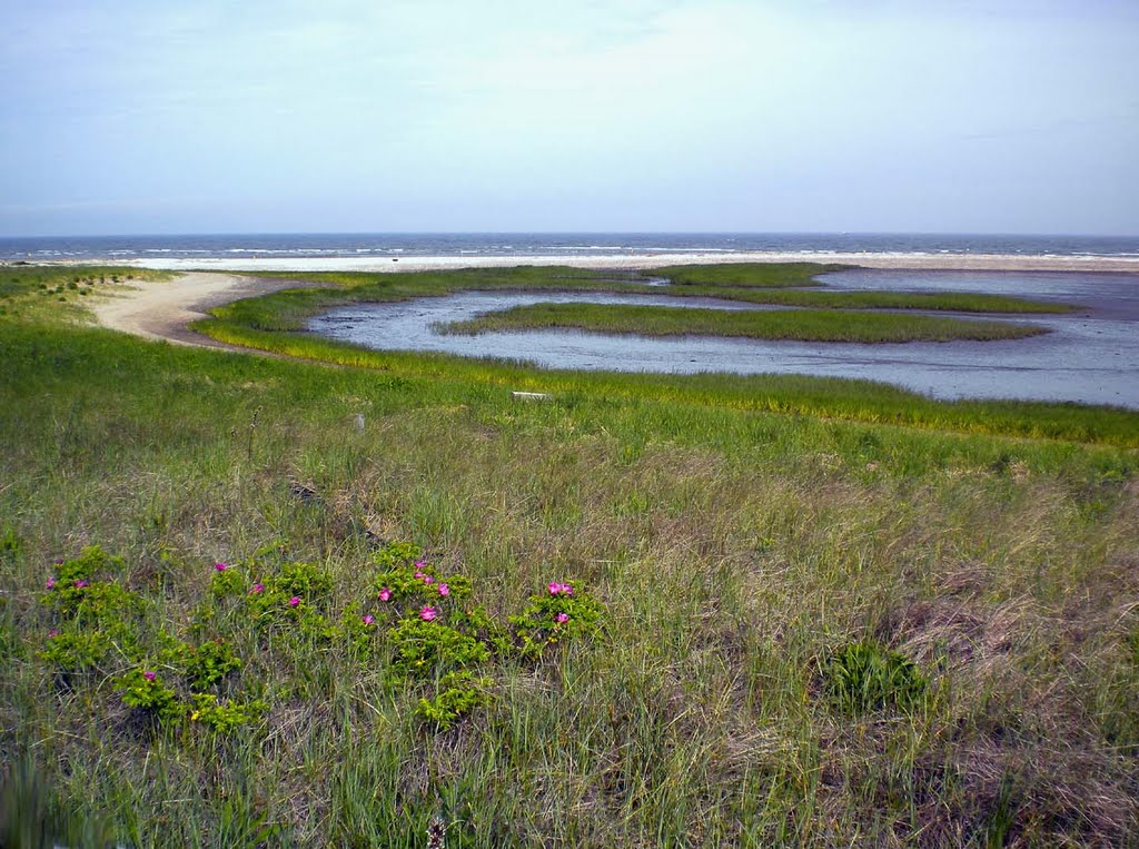 Long Island Sound by MoMof4