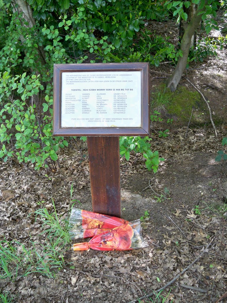 Monument voor geseuvelde piloten en crew 'Worry bird 'WO2 by Wibo