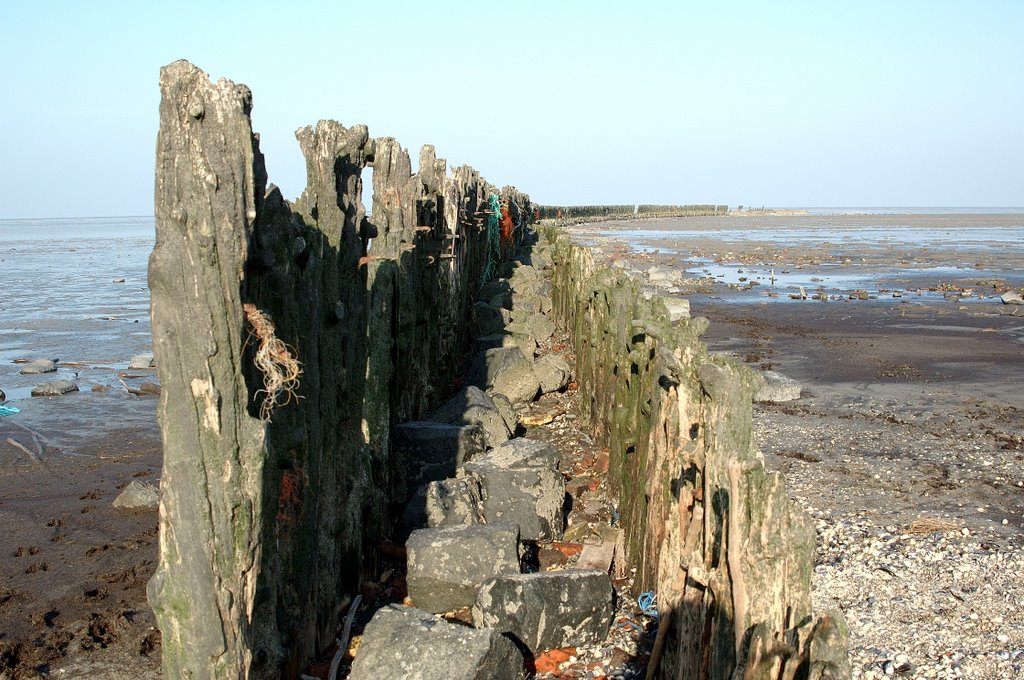 Het wad by wadkijker