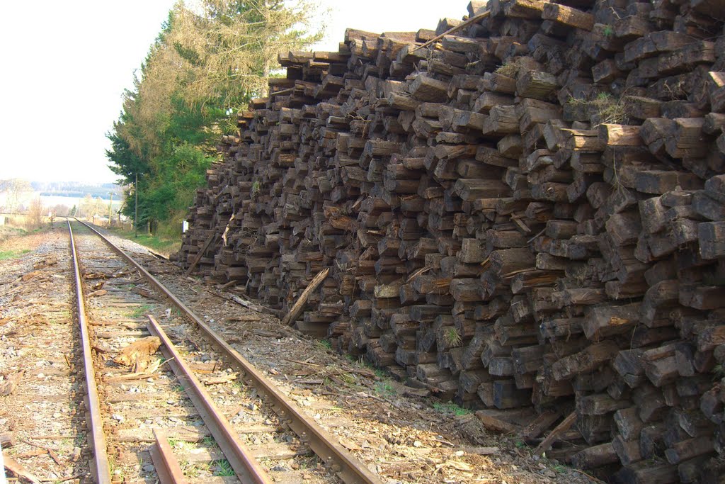 Holzschwellen haben ihre Schuldigkeit getan by Schmalspur Sa.