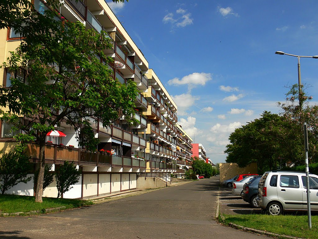 Edõsor út - lakótelep (2)/ Erdõsor road - housing project by JaPi